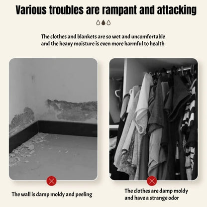 Déshumidificateur à Suspendre (Rechargeable, 500 ml)